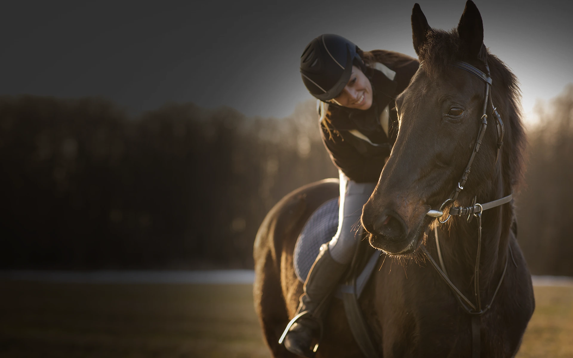 L-equitation-au-dela-des-frontieres-1